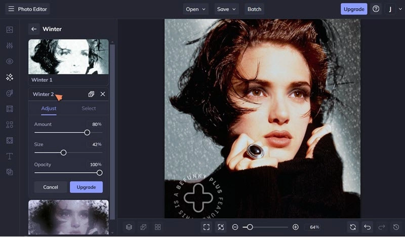 Add Snow to Photo in BeFunky Adjust Settings
