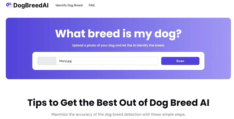 AI Dog Breed Identifier Dog Breed AI Step 1