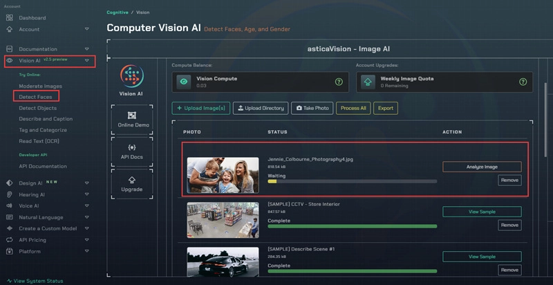 Astica Vision AI Face Reading