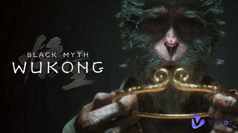 Black Myth Wukong Character