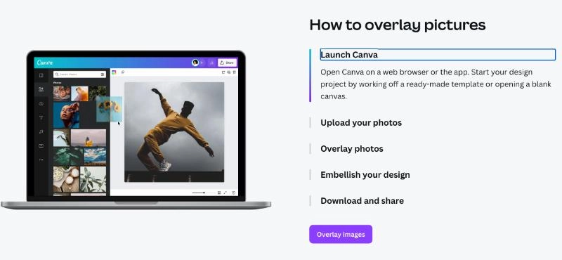 Canva Add A Picture to A Picture Tool