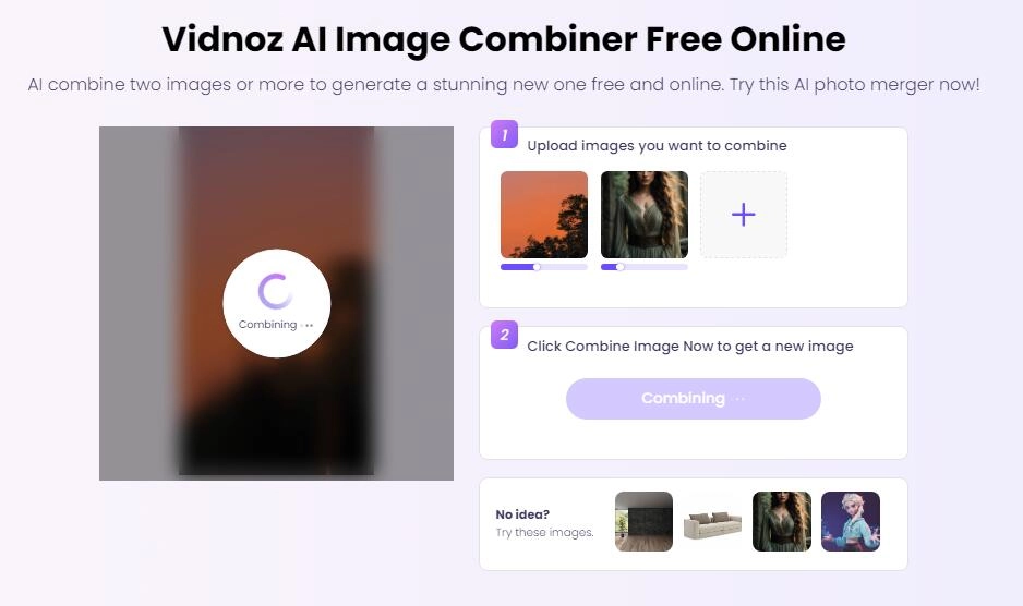 Combine Multiple Images into One with Vidnoz AI