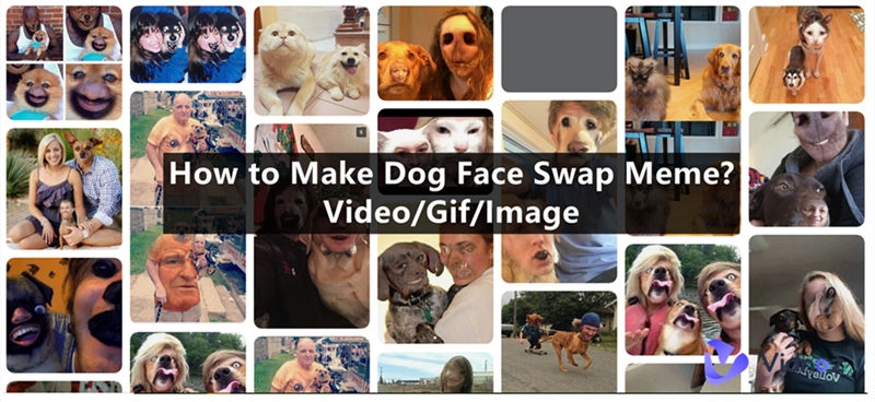 Dog Face Swap Meme Cover