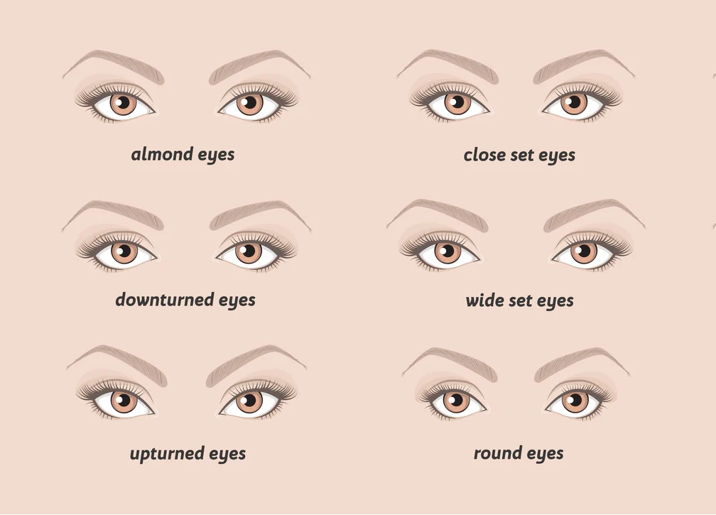 Eye Shape Test 6 Eye Shapes