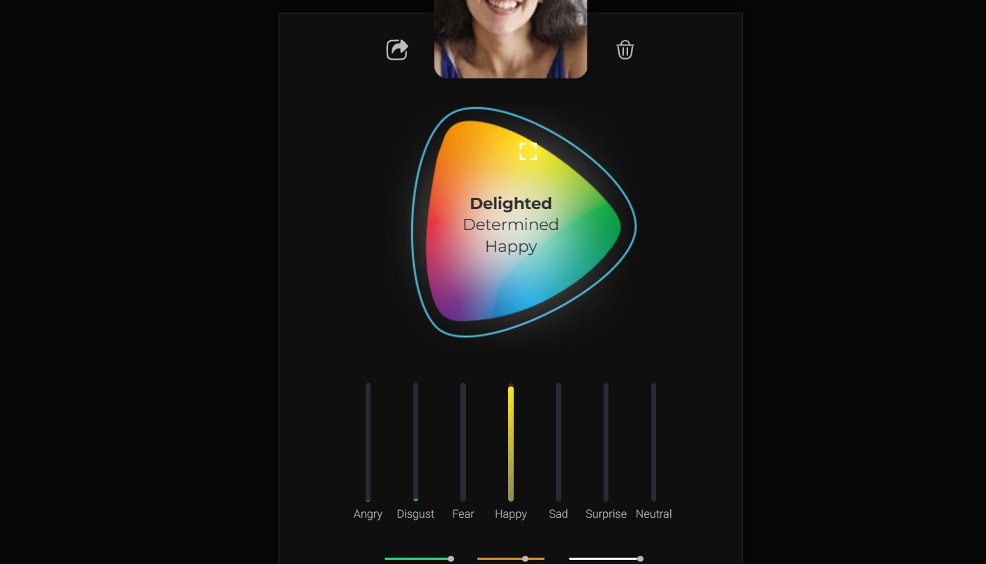 Face Emotion Detector Morphcast