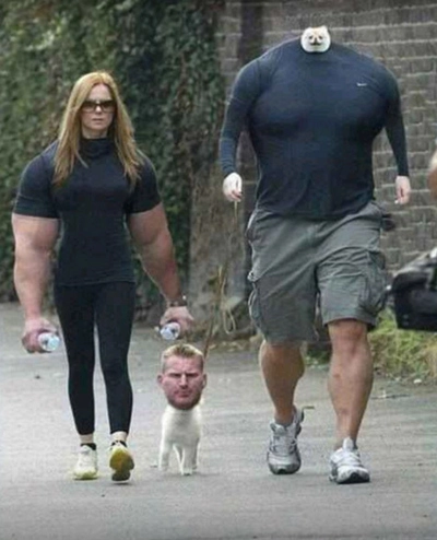 Funny Dog Face Swap Family Photo