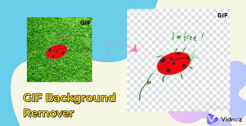 Top GIF Background Remover Online Free [+ Display Pics]