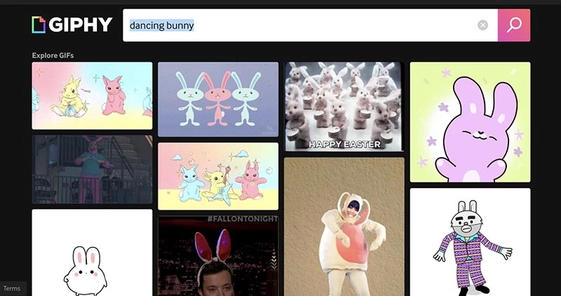 GIPHY Bunny Dancing GIF