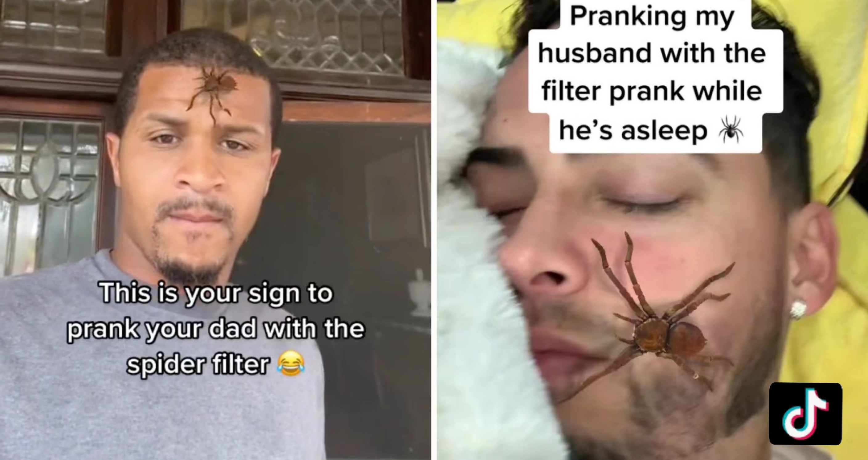 How to Get Spider Crawling on Face Filter on TikTok