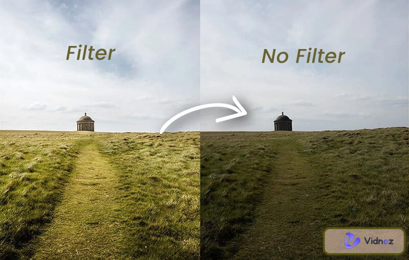 How to Remove Filter from Photo