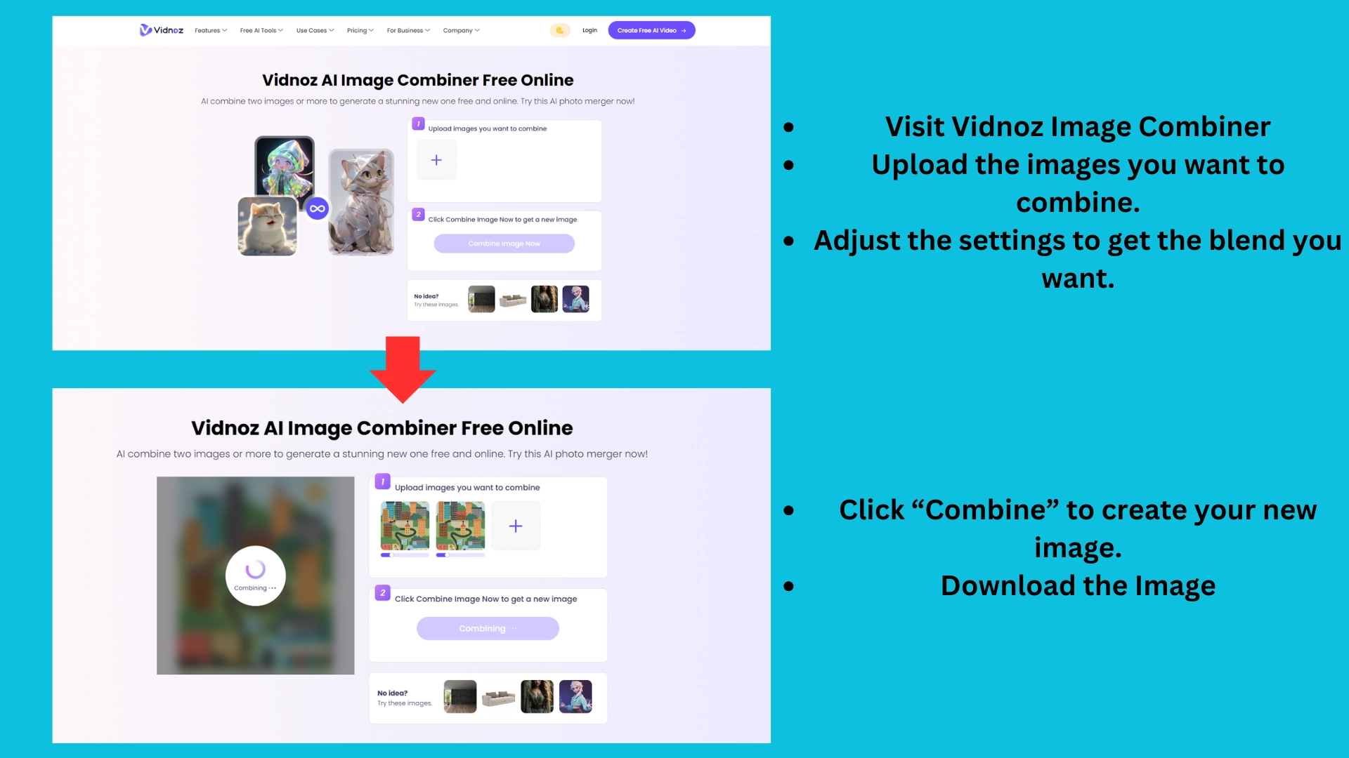 Image Comparison Vidnoz Image Combiner Result