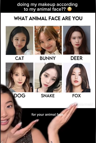 Korean Animal Face Type Makeup