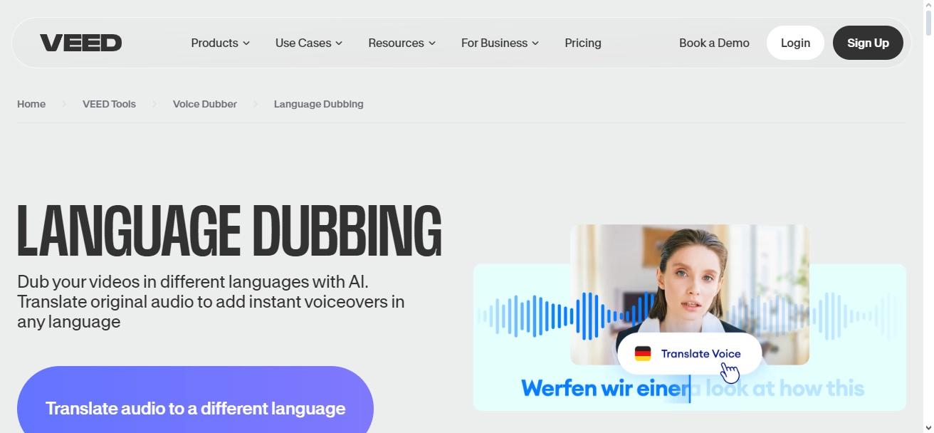 Language Dubbing VEEDio