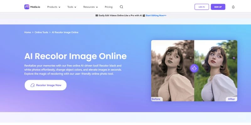 Mediaio Online AI Recloer Image Editor 