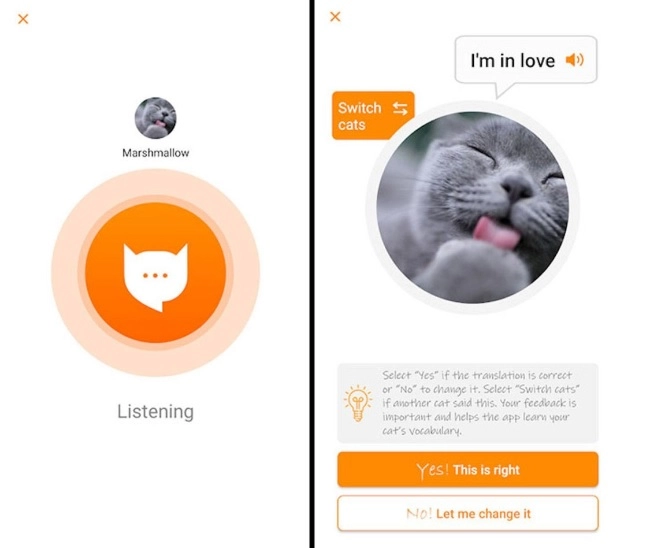 MeowTalk - Real-Time AI Animal Voice Translator for Cat