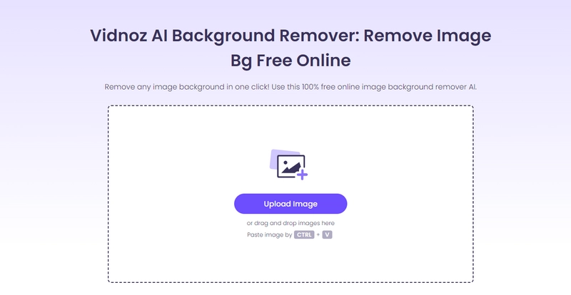 Open Vidnoz AI BG Remover for Image Cropping