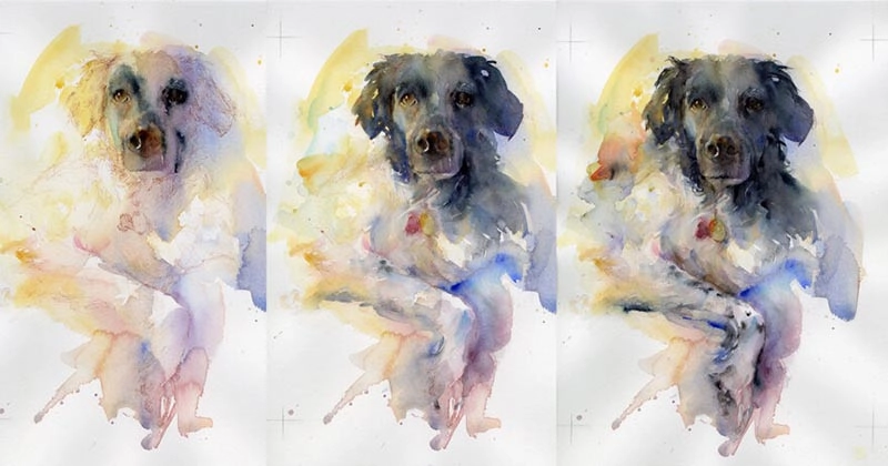 Pet Portrait Generator Free Watercolor