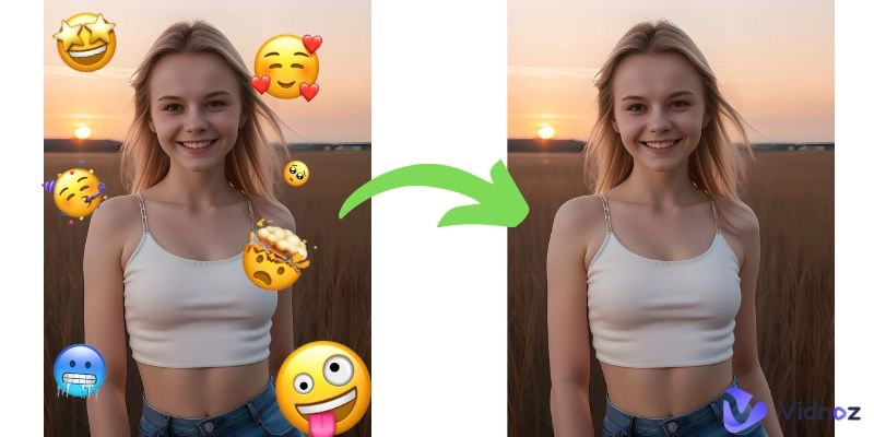 Top 5 Emoji Removers from Photo [Online/Mobile/Computer]
