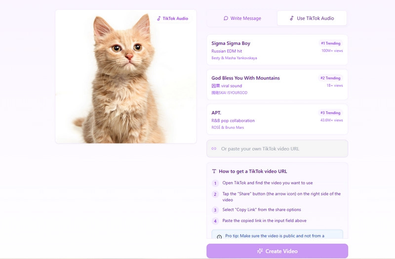 Select a TikTok Audio for Your Pet