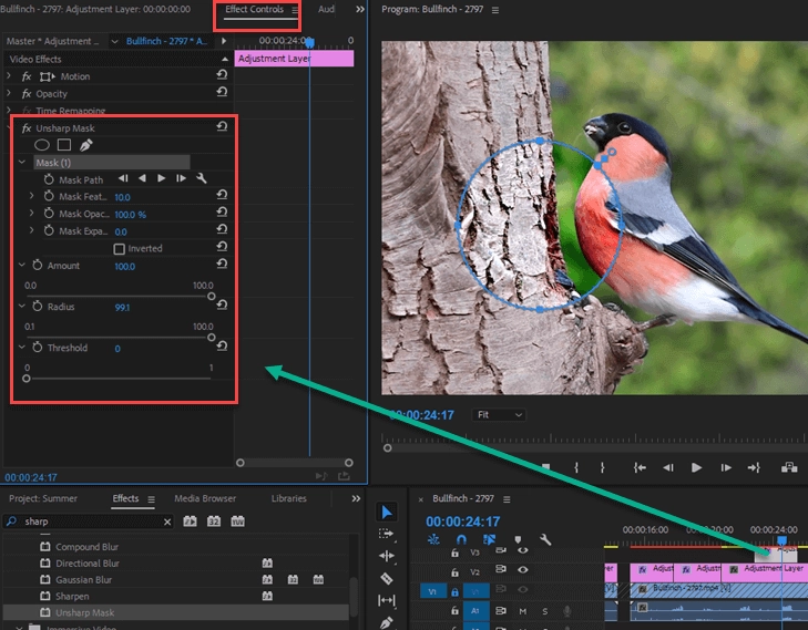 Set Parameters to Make a Video Less Blurry with Adobe