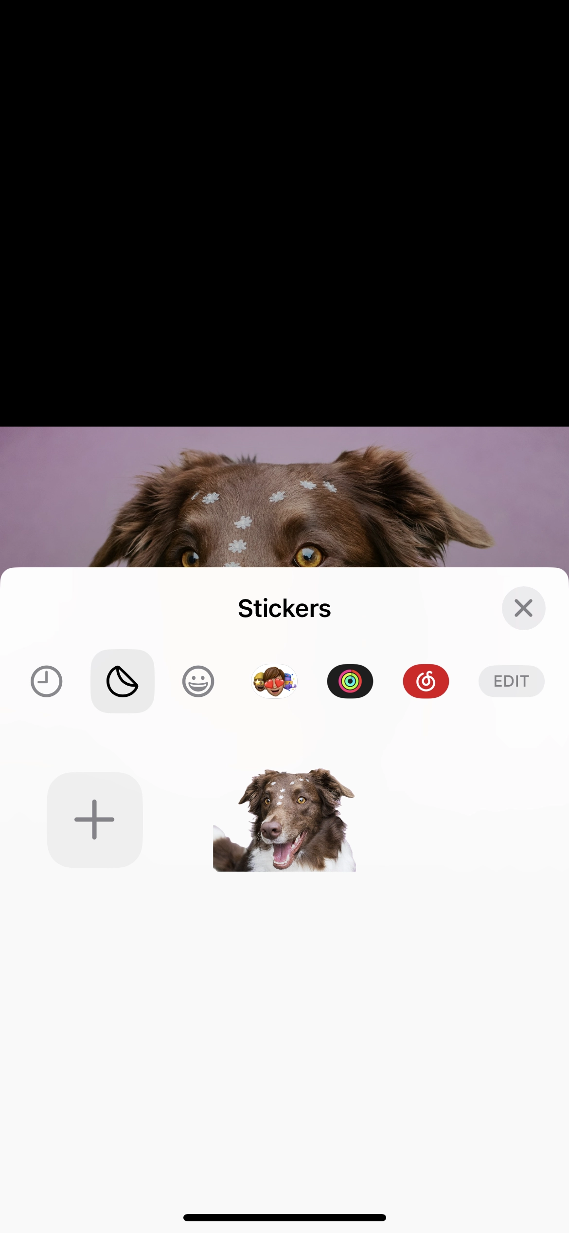 Step 2 to Make Photo Sticker on iOS