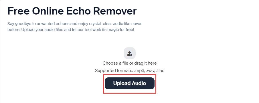 Upload Audio In Voice AI to Remove Echo from Audio