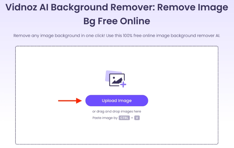 Vidnoz AI Image Background Remover