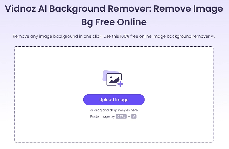 Vidnoz Background Remover