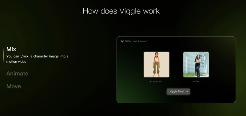 Viggle AI Main Features