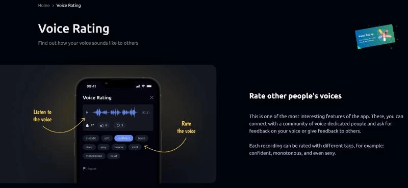 Vocal Image Voice Rater Tool