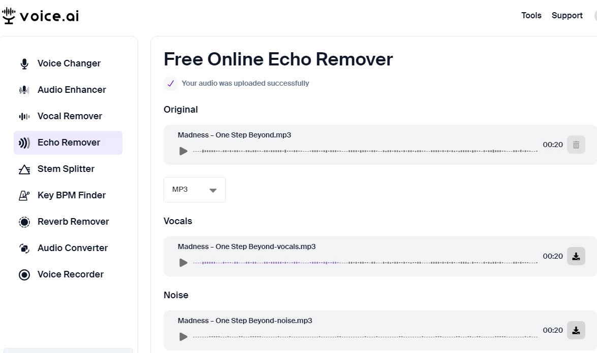 Voice AI Online Echo Remover