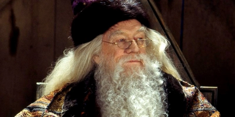 What Harry Potter Character Do I Look Like - Dumbledore