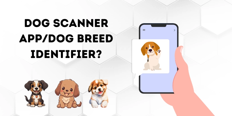 What is a Dog Scanner App - Dog Breed Identifier