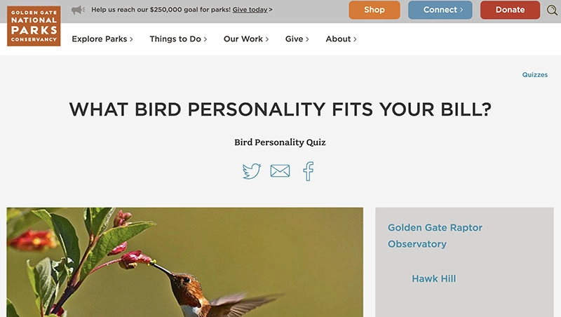 Who Am I Personality Test Bird