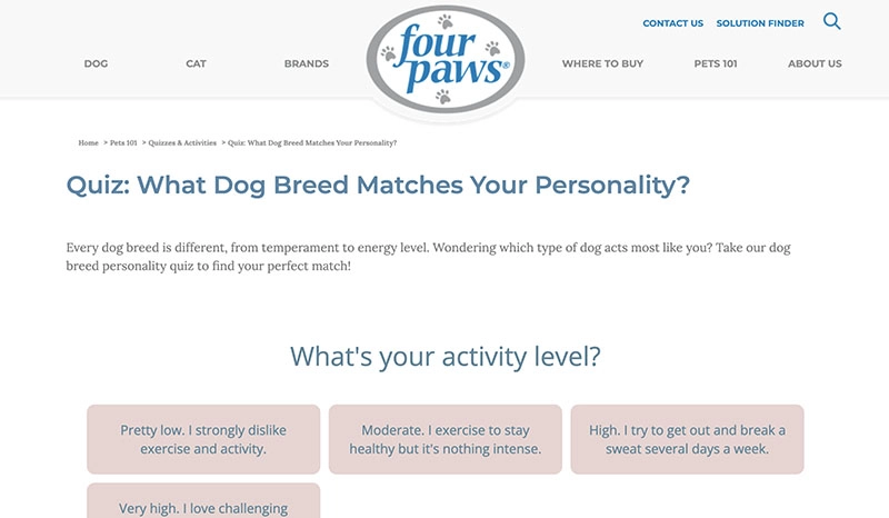 Who Am I Personality Test Dog